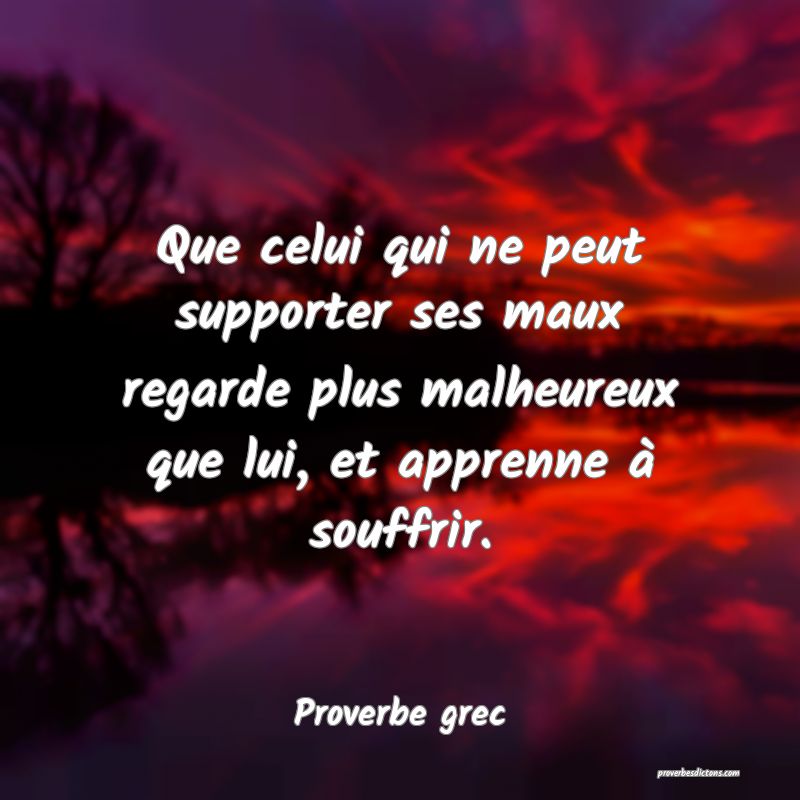 Que celui qui ne peut supporter ses maux regarde plus malheureux que lui, et apprenne à souffrir.