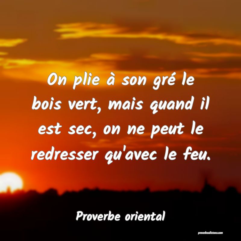 On plie à son gré le bois vert, mais quand il est sec, on ne peut le redresser qu'avec le feu.