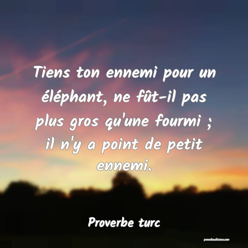 Tiens ton ennemi pour un éléphant, ne fût-il pas plus gros qu'une fourmi ; il n'y a point de petit ennemi.