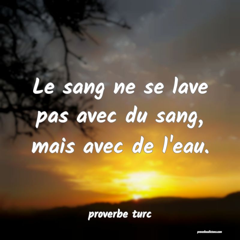  Le sang ne se lave pas avec du sang, mais avec de l'eau.