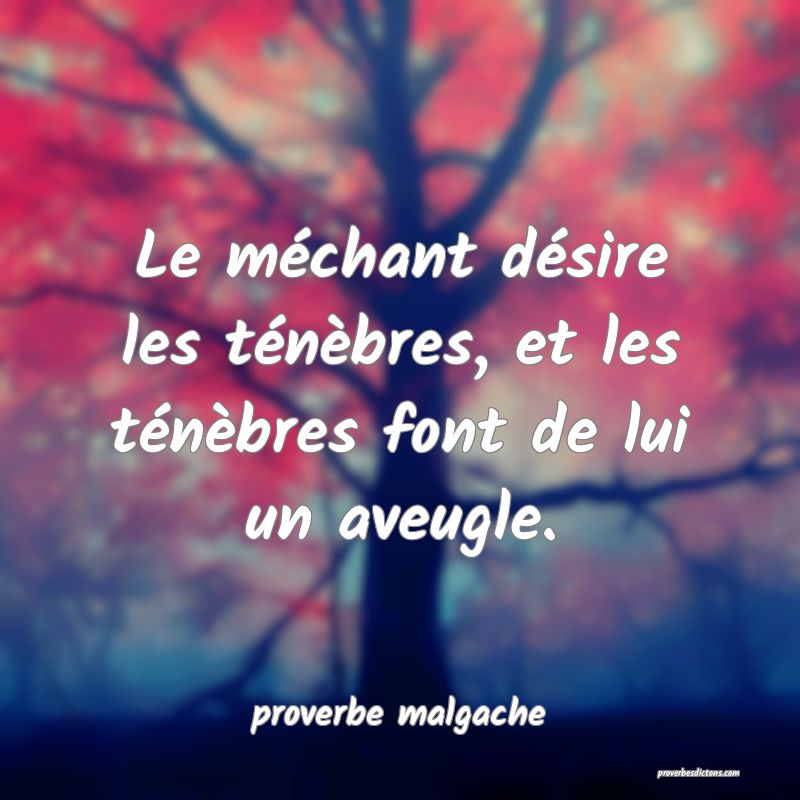  Le méchant désire les ténèbres, et les ténèbres font de lui un aveugle.