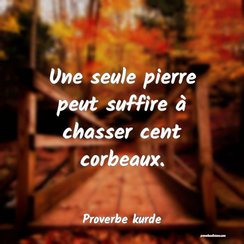 Une seule pierre peut suffire à chasser cent corbeaux.