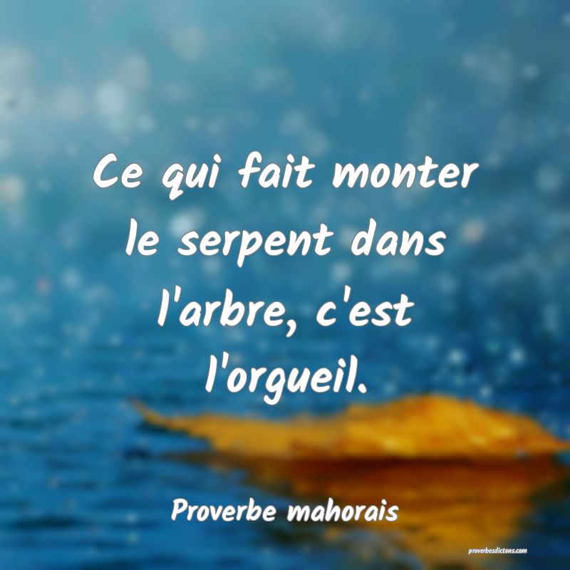 Ce qui fait monter le serpent dans l'arbre, c'est l'orgueil.