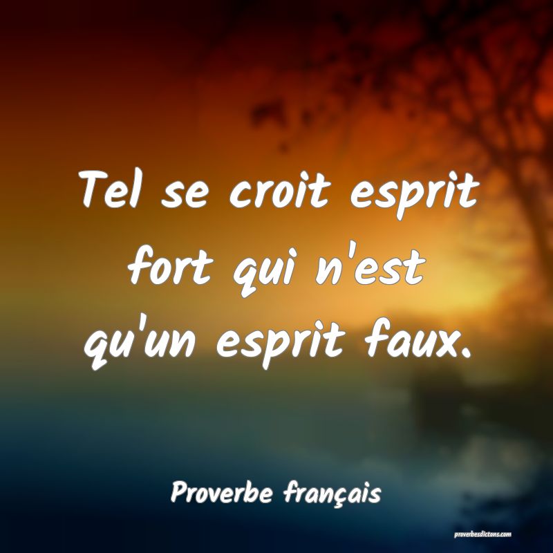 Tel se croit esprit fort qui n'est qu'un esprit faux.