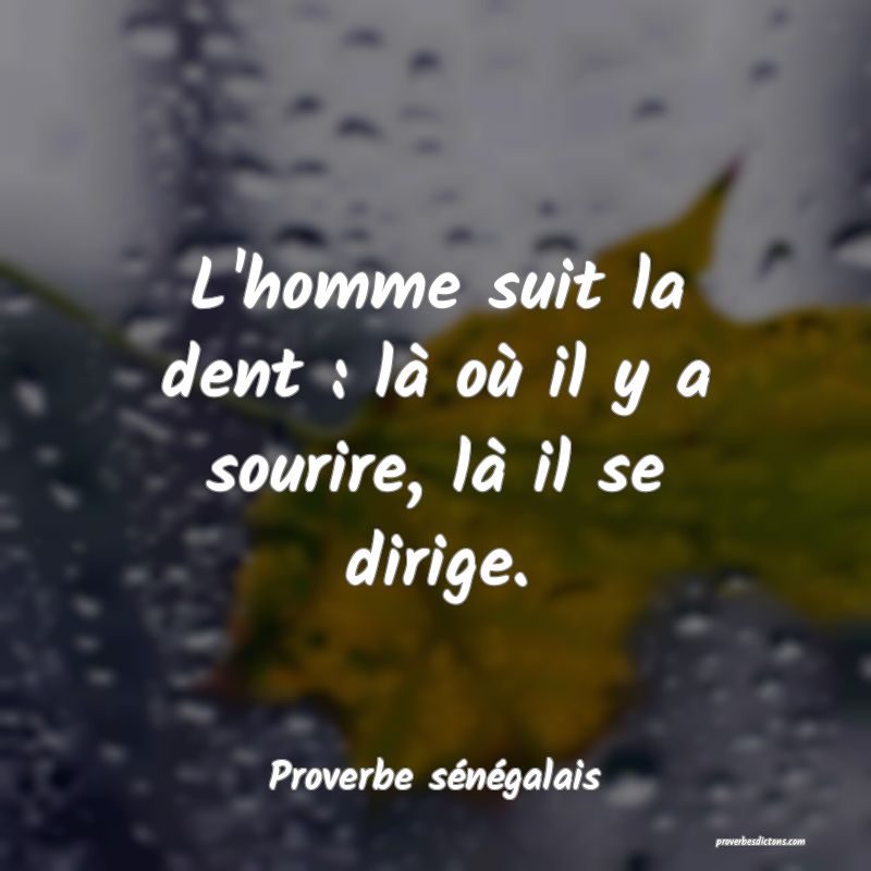 L'homme suit la dent : là où il y a sourire, là il se dirige.