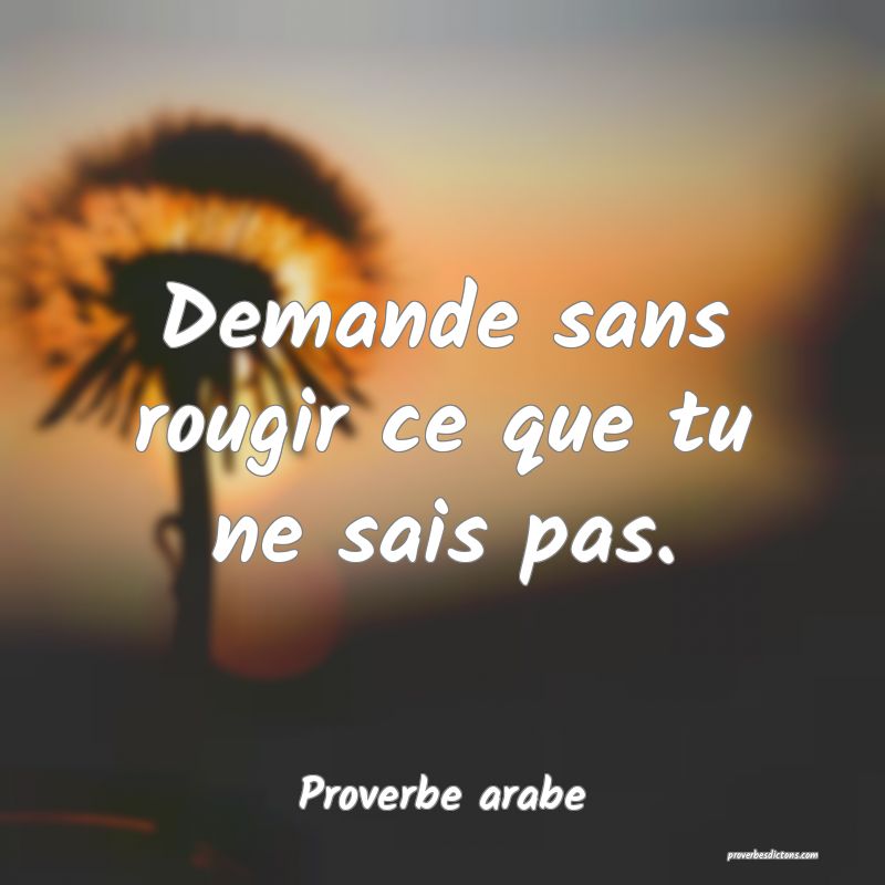 Demande sans rougir ce que tu ne sais pas.