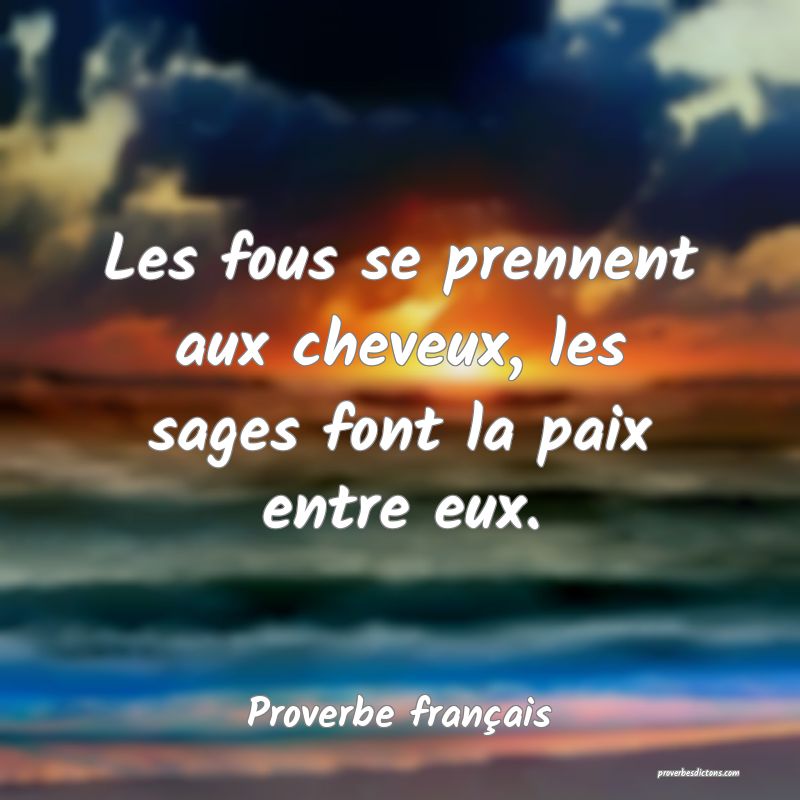 Les fous se prennent aux cheveux, les sages font la paix entre eux.