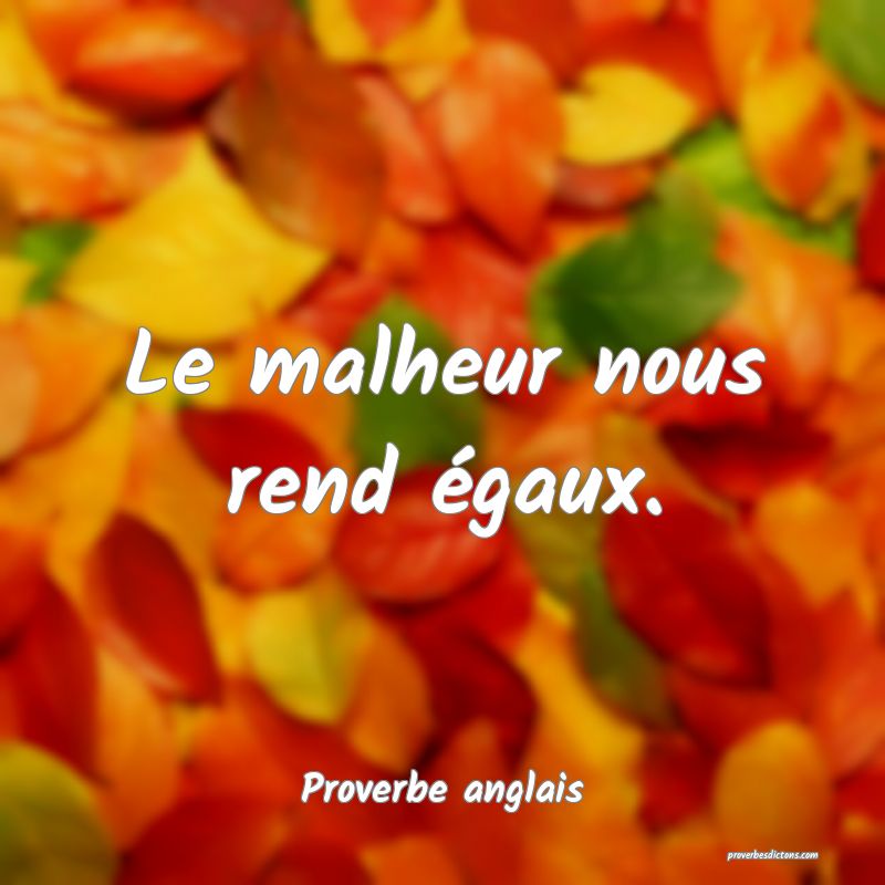 Le malheur nous rend égaux.