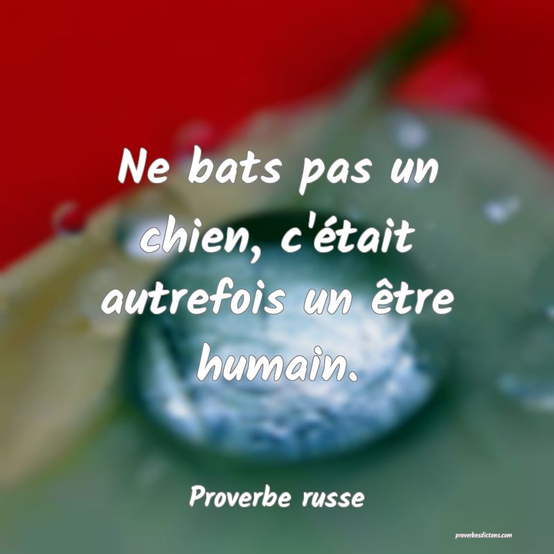 Ne bats pas un chien, c'était autrefois un être humain.