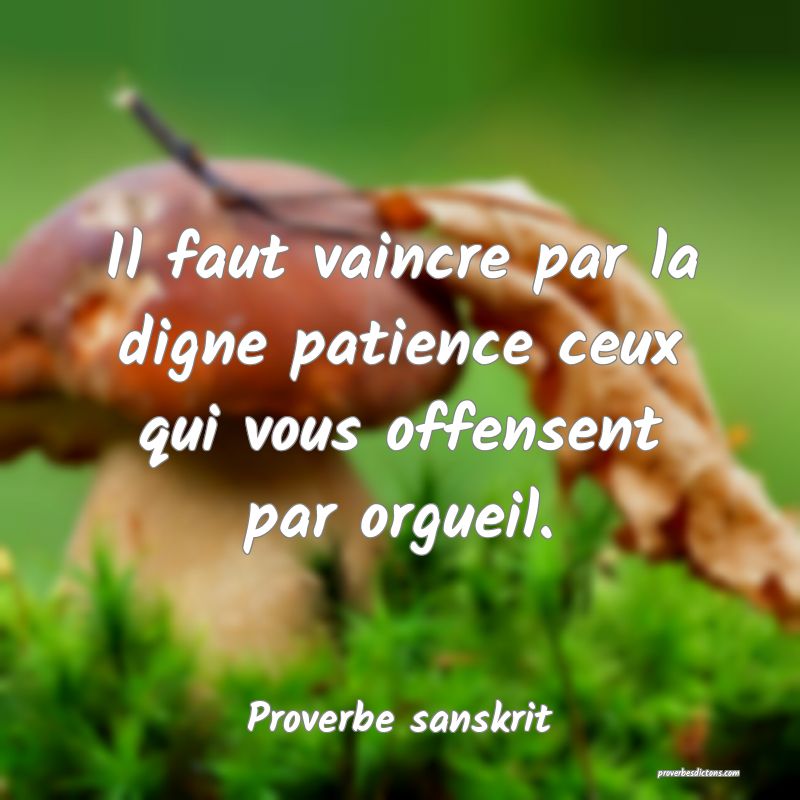 Il faut vaincre par la digne patience ceux qui vous offensent par orgueil.