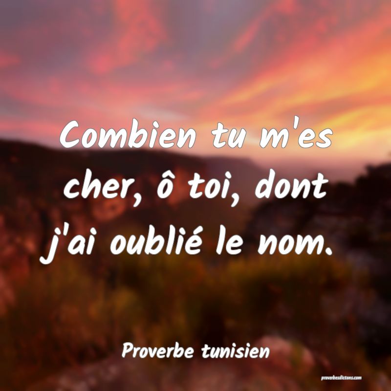 Combien tu m'es cher, ô toi, dont j'ai oublié le nom.