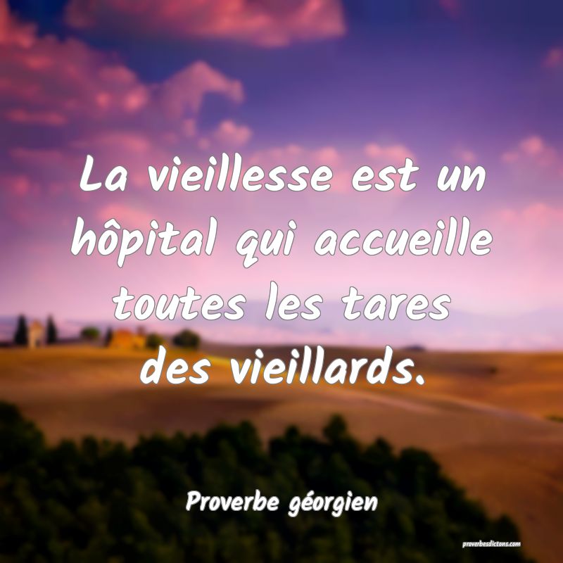 La vieillesse est un hôpital qui accueille toutes les tares des vieillards.