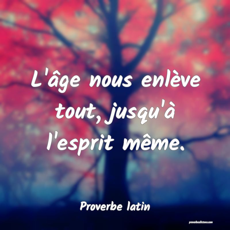 L'âge nous enlève tout, jusqu'à l'esprit même.