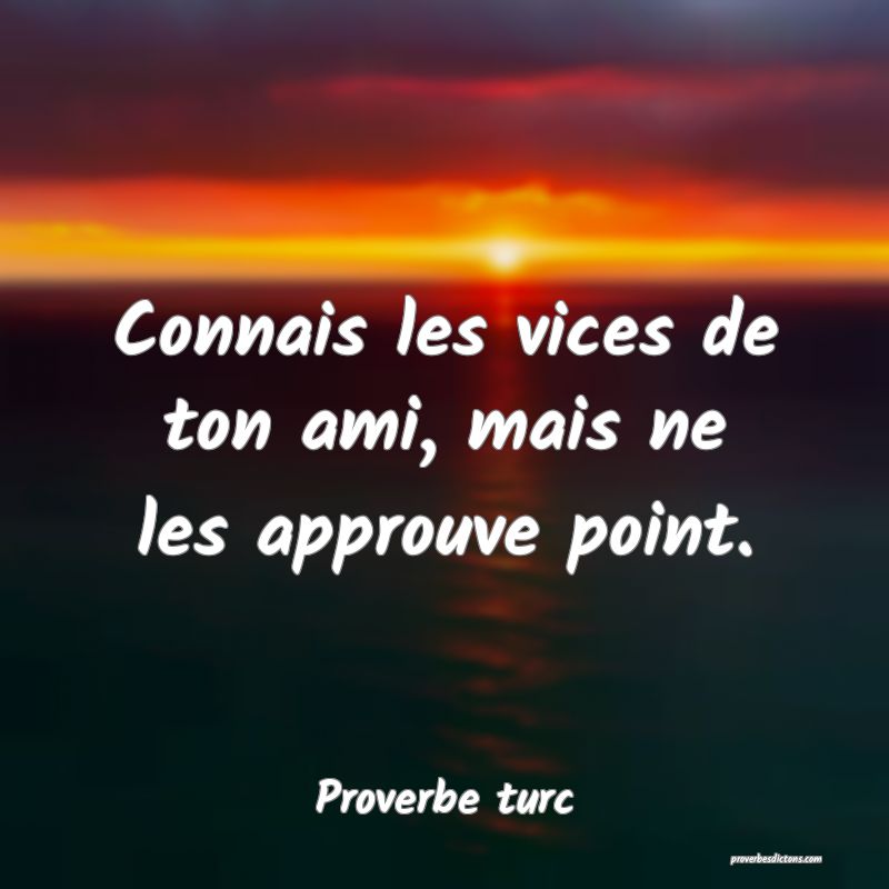 Connais les vices de ton ami, mais ne les approuve point.