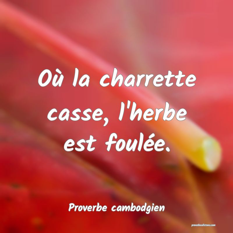 Où la charrette casse, l'herbe est foulée.