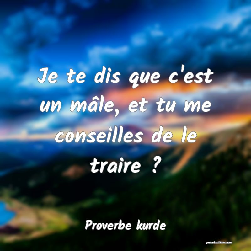 Je te dis que c'est un mâle, et tu me conseilles de le traire ?