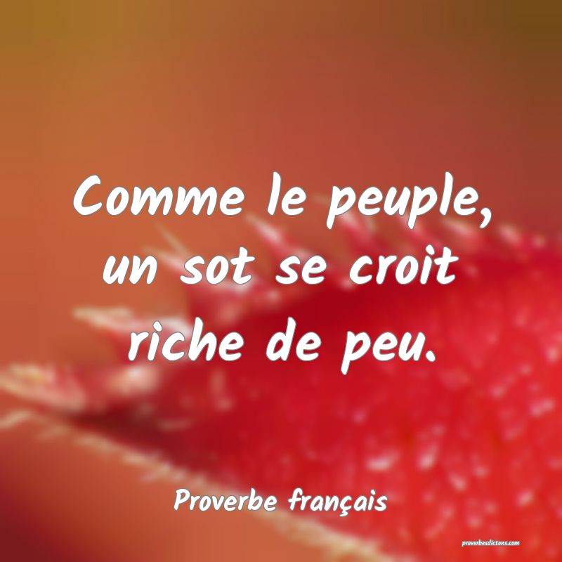 Comme le peuple, un sot se croit riche de peu.