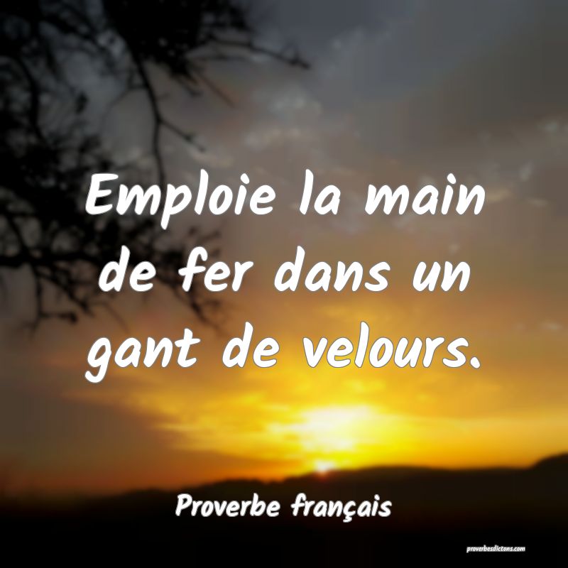 Emploie la main de fer dans un gant de velours.