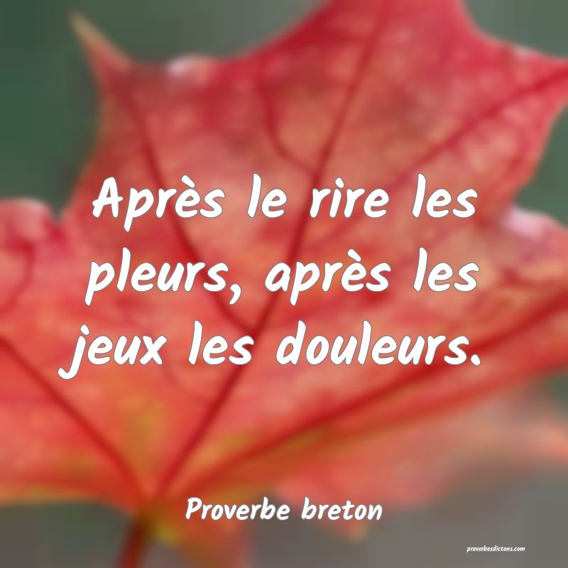 Après le rire les pleurs, après les jeux les douleurs.