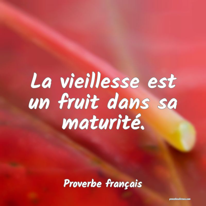 La vieillesse est un fruit dans sa maturité.