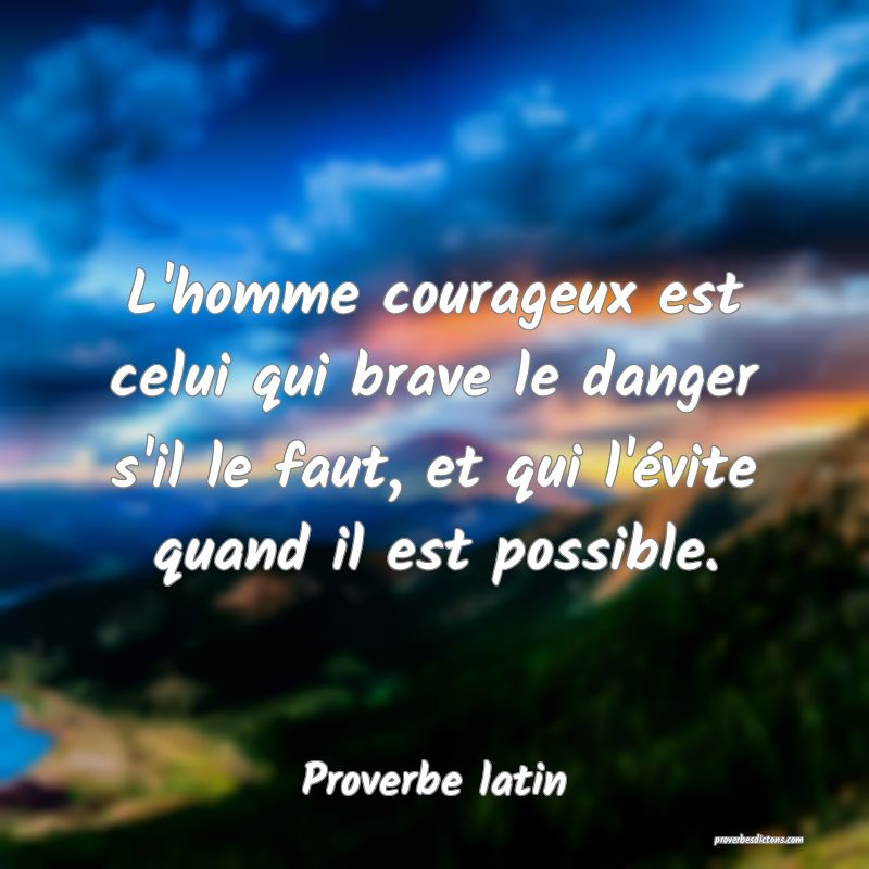 L'homme courageux est celui qui brave le danger s'il le faut, et qui l'évite quand il est possible.