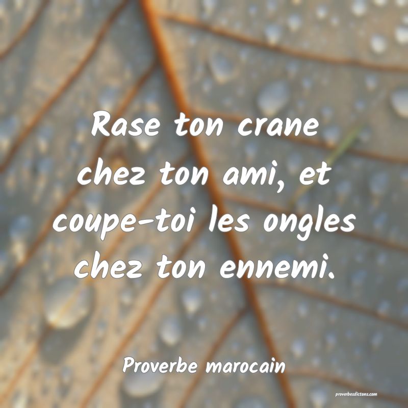 Rase ton crane chez ton ami, et coupe-toi les ongles chez ton ennemi.