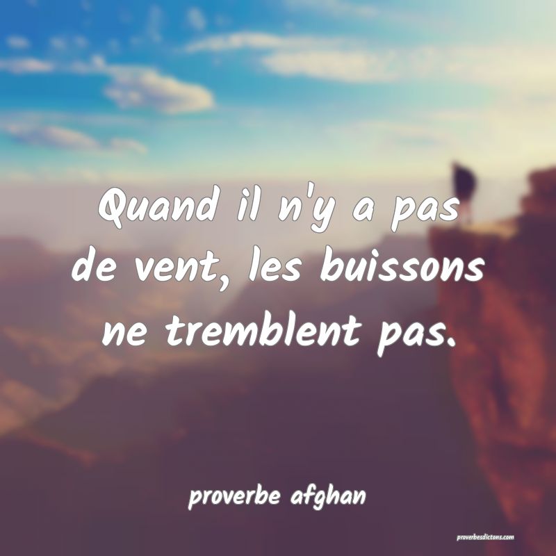 Quand il n'y a pas de vent, les buissons ne tremblent pas.