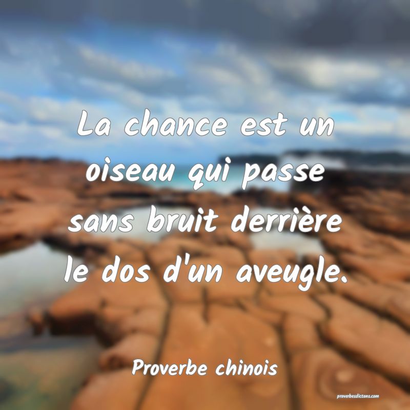La chance est un oiseau qui passe sans bruit derrière le dos d'un aveugle.