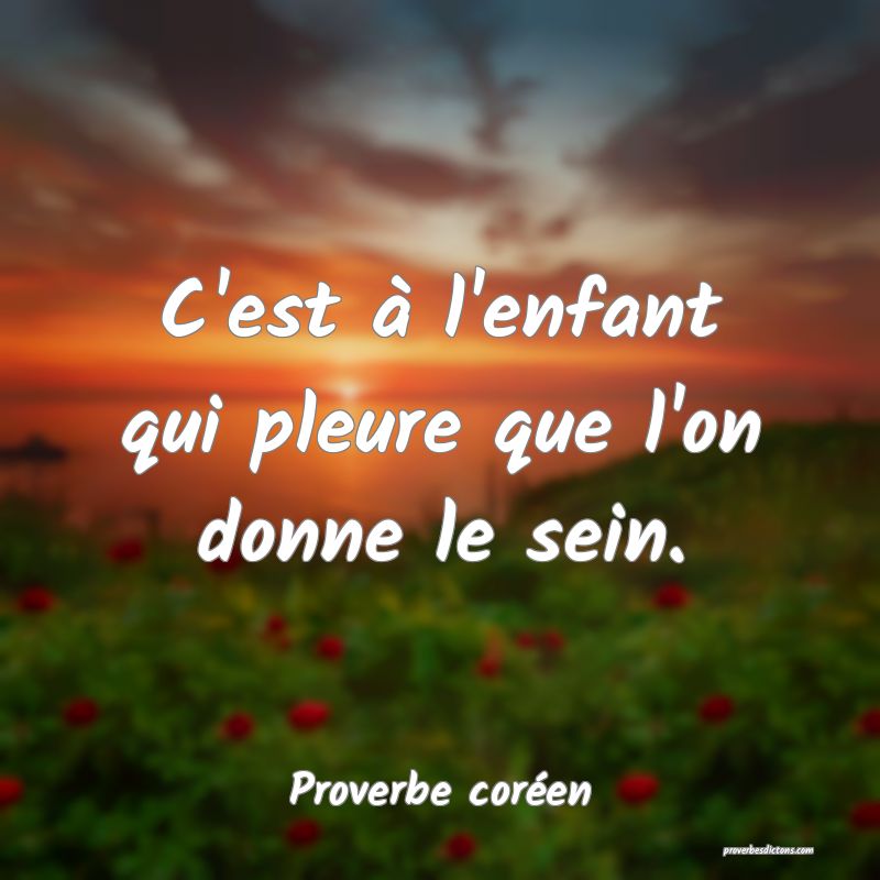 C'est à l'enfant qui pleure que l'on donne le sein.