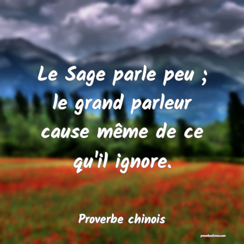 Le Sage parle peu ; le grand parleur cause même de ce qu'il ignore.