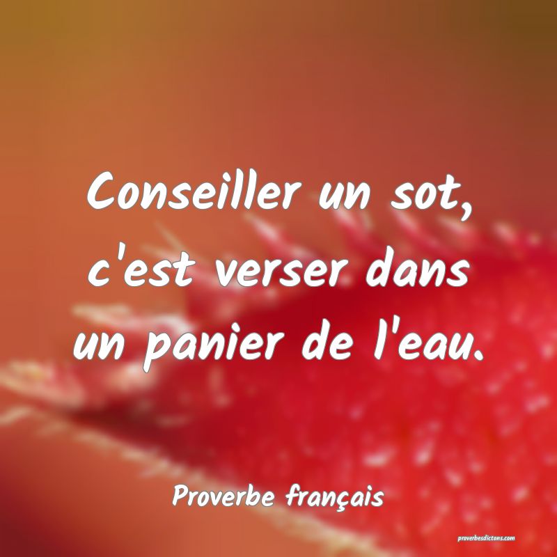 Conseiller un sot, c'est verser dans un panier de l'eau.