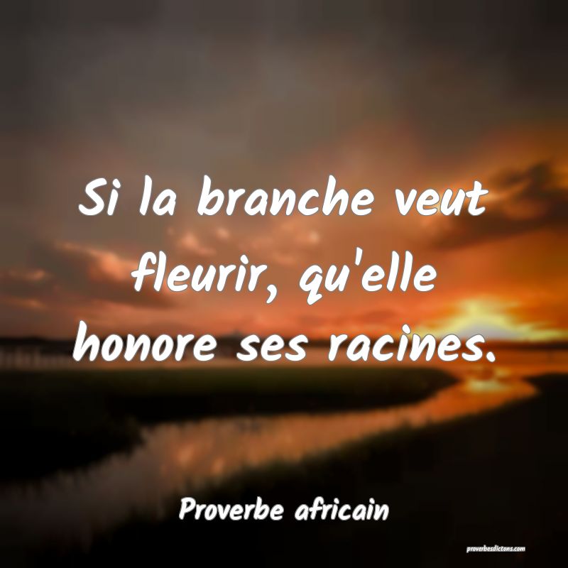 Si la branche veut fleurir, qu'elle honore ses racines.