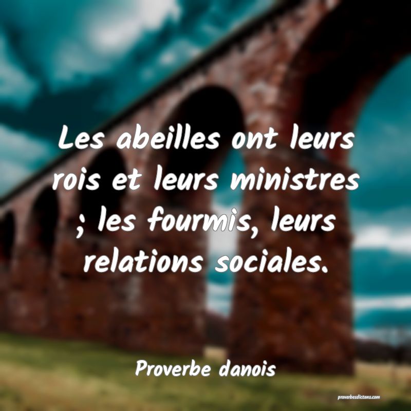 Les abeilles ont leurs rois et leurs ministres ; les fourmis, leurs relations sociales.