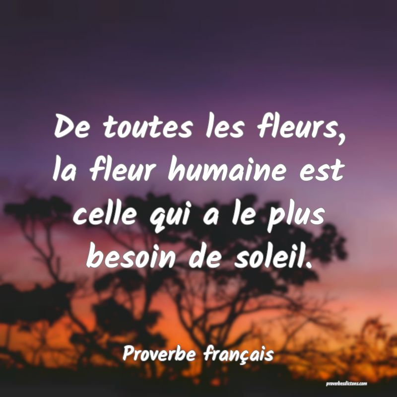 De toutes les fleurs, la fleur humaine est celle qui a le plus besoin de soleil.