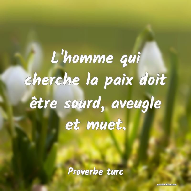 L'homme qui cherche la paix doit être sourd, aveugle et muet.