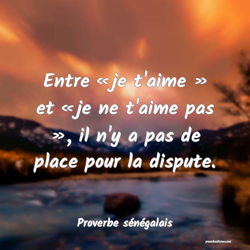 Entre « je t'aime » et « je ne t'aime pas », il n'y a pas de place pour la dispute.