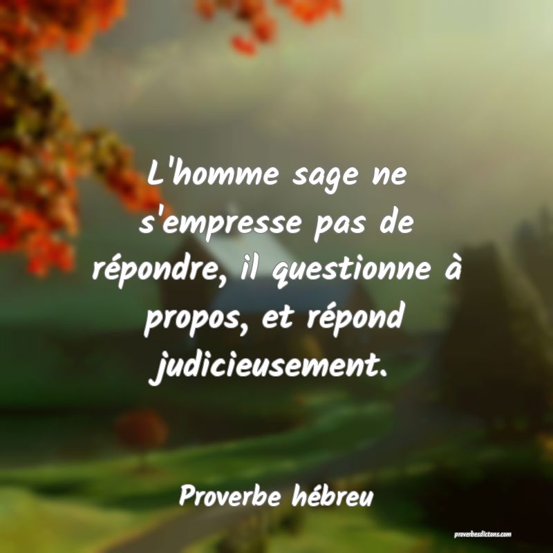 L'homme sage ne s'empresse pas de répondre, il questionne à propos, et répond judicieusement.