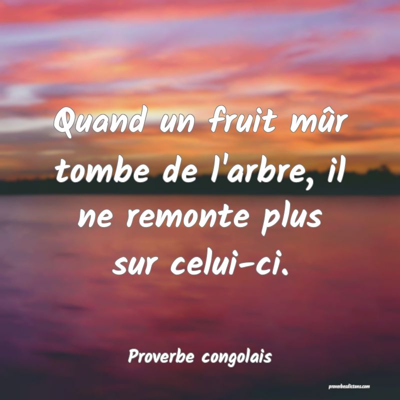 Quand un fruit mûr tombe de l'arbre, il ne remonte plus sur celui-ci.