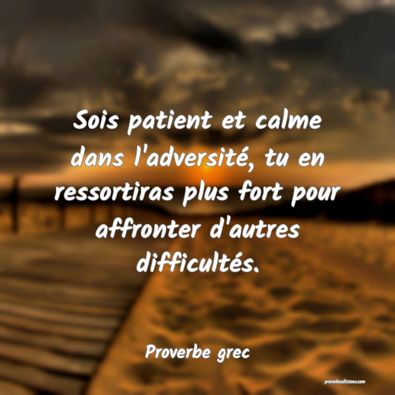 Sois patient et calme dans l'adversité, tu en ressortiras plus fort pour affronter d'autres difficultés.