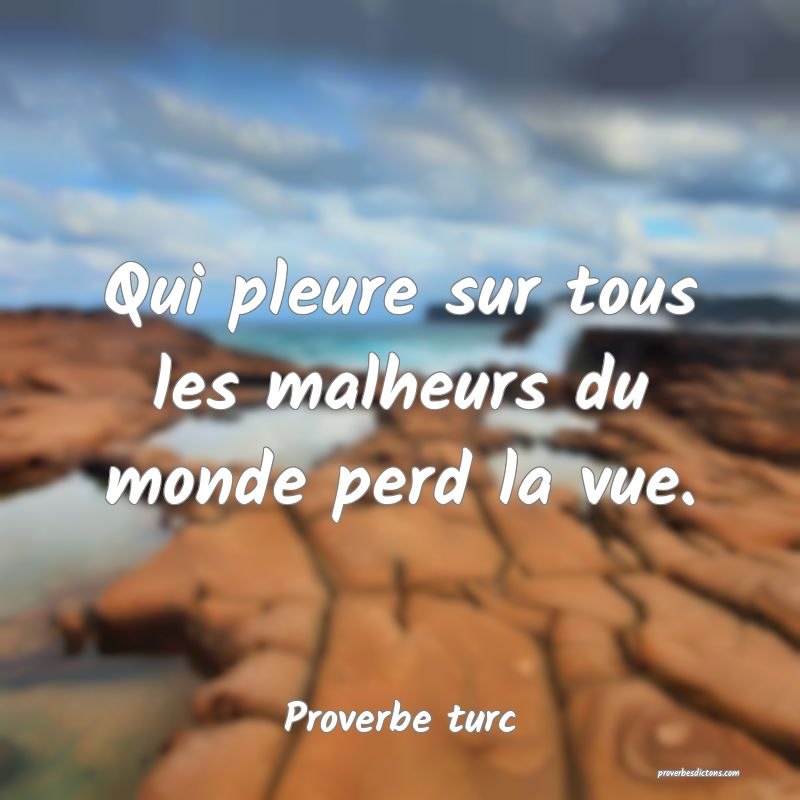 Qui pleure sur tous les malheurs du monde perd la vue.