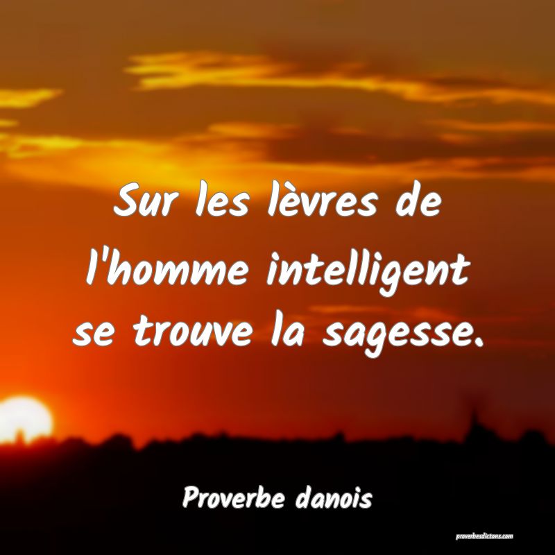 Sur les lèvres de l'homme intelligent se trouve la sagesse.