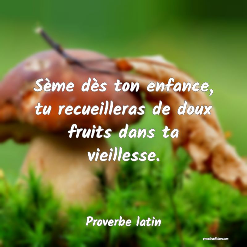 Sème dès ton enfance, tu recueilleras de doux fruits dans ta vieillesse.