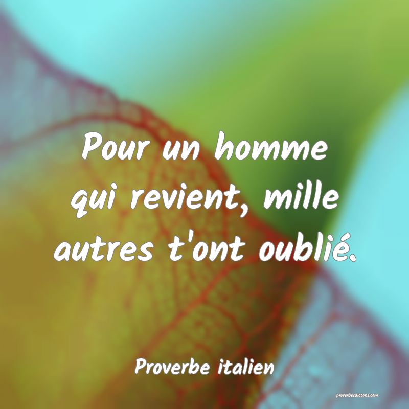 Pour un homme qui revient, mille autres t'ont oublié.