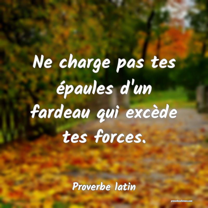 Ne charge pas tes épaules d'un fardeau qui excède tes forces.