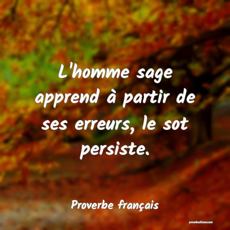 L'homme sage apprend à partir de ses erreurs, le sot persiste.
