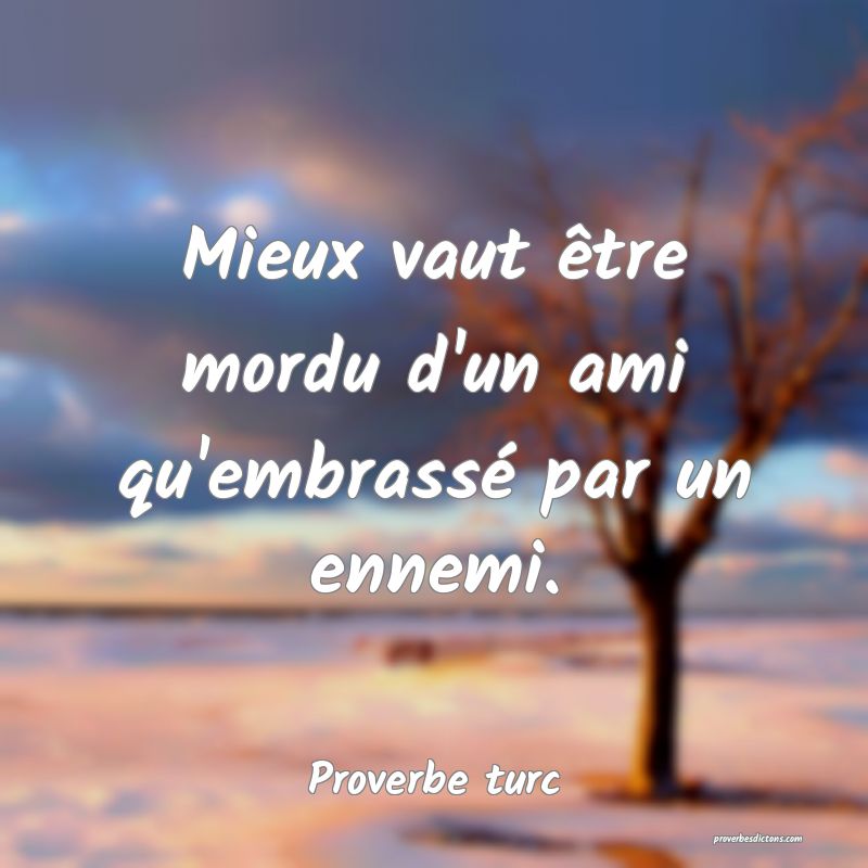 Mieux vaut être mordu d'un ami qu'embrassé par un ennemi.