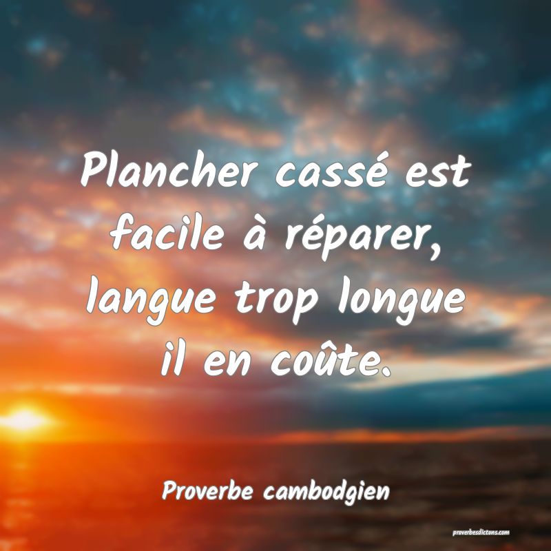 Plancher cassé est facile à réparer, langue trop longue il en coûte.