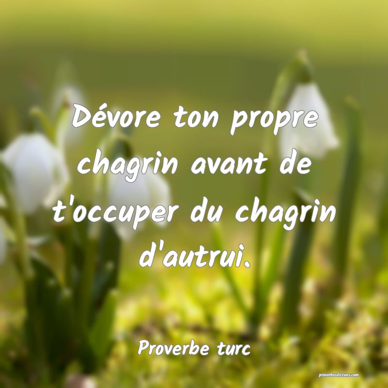 Dévore ton propre chagrin avant de t'occuper du chagrin d'autrui.
