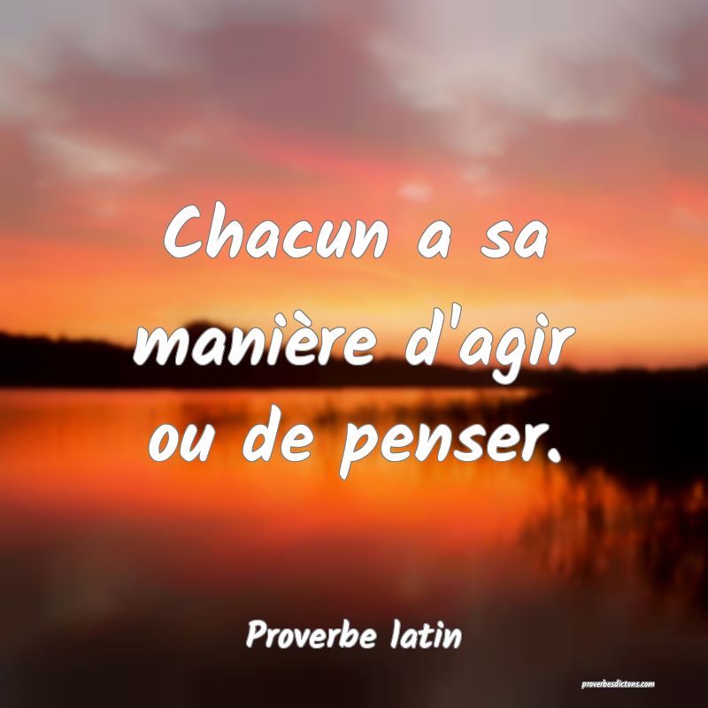 Chacun a sa manière d'agir ou de penser.
