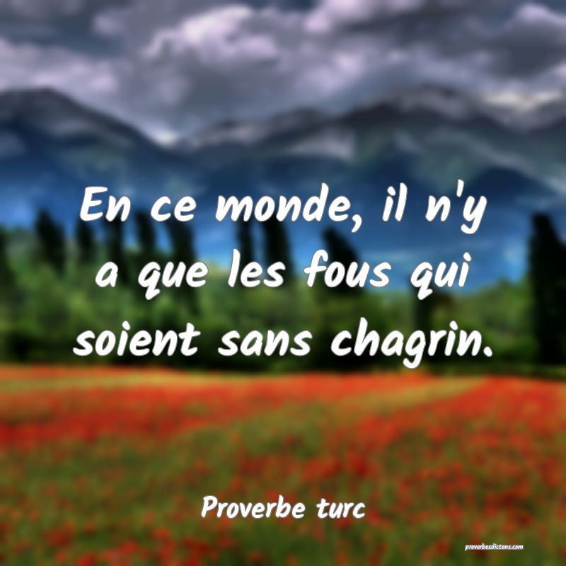 En ce monde, il n'y a que les fous qui soient sans chagrin.